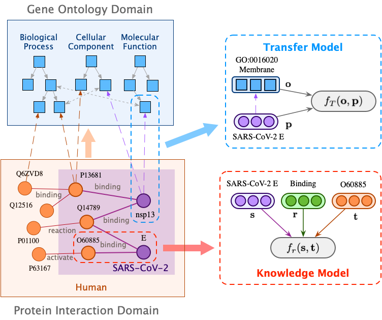 Data formulation and model architecture.